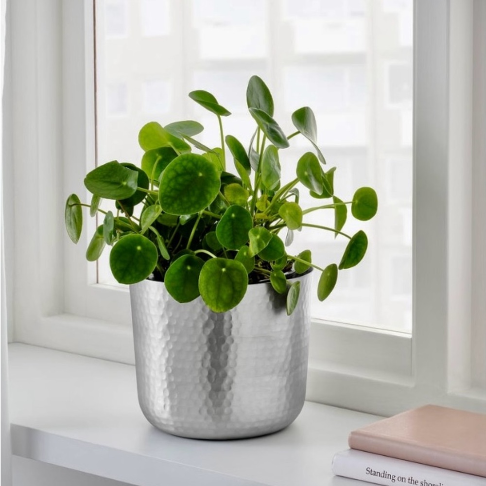 Silver Hammered Metal Planter